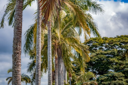 Caiçaras Country Club